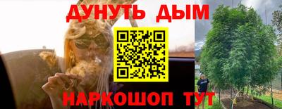не бодяженный Заводоуковск