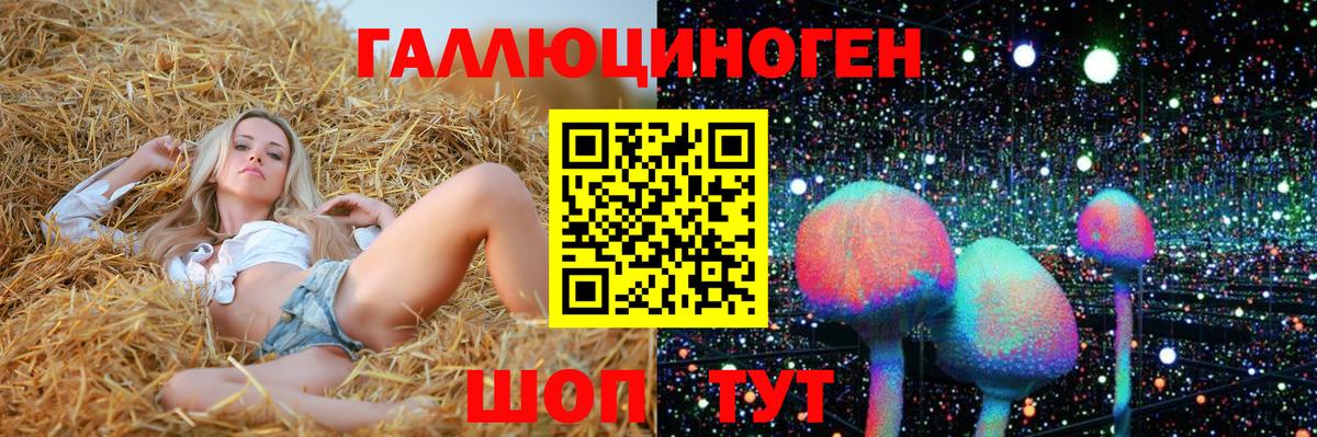 где можно купить наркотик  Вход с VPN  Лесозаводск  Псилоцибиновые грибы GOLDEN TEACHER 